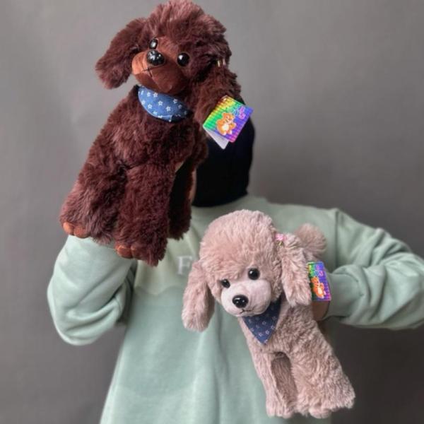 Оливка и Чиа