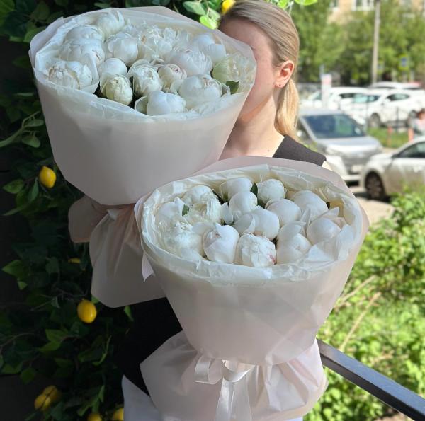 Белоснежные красавцы