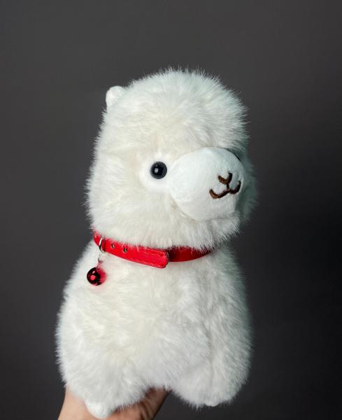 Белая альпака