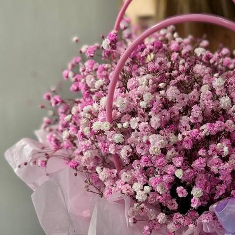 Фиолетовые гипсофилы (А)