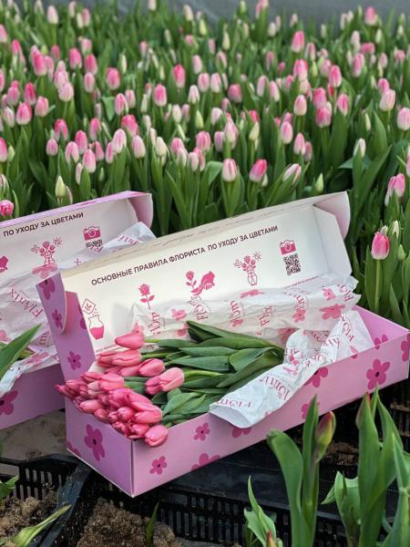 25 тюльпанов в коробке 282