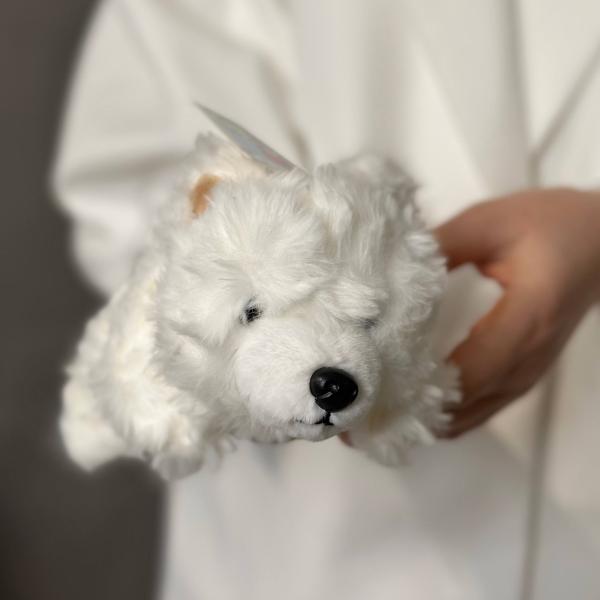 Константин 