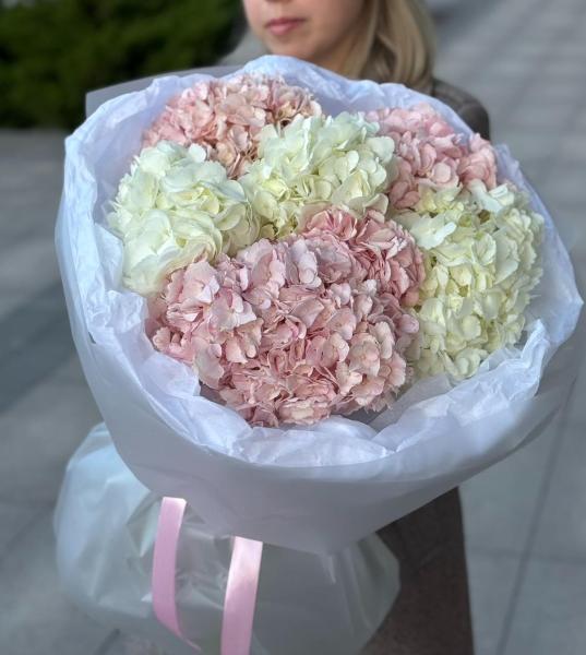 Букет моно из 7 гортензий 220