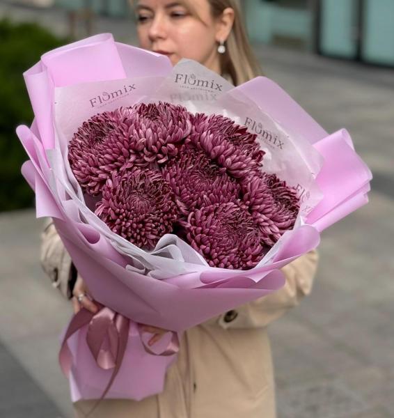 7 одноголовых хризантем 121 7 одноголовых хризантем 121