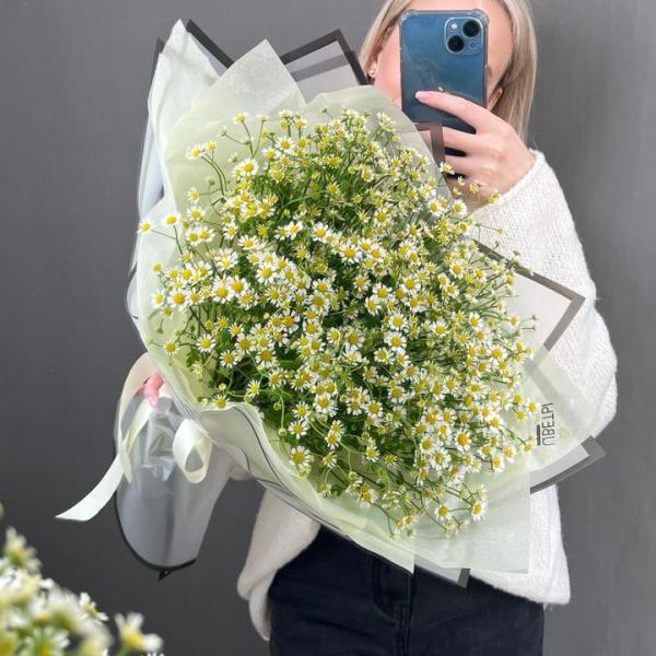 Полевые ромашки  Полевые ромашки