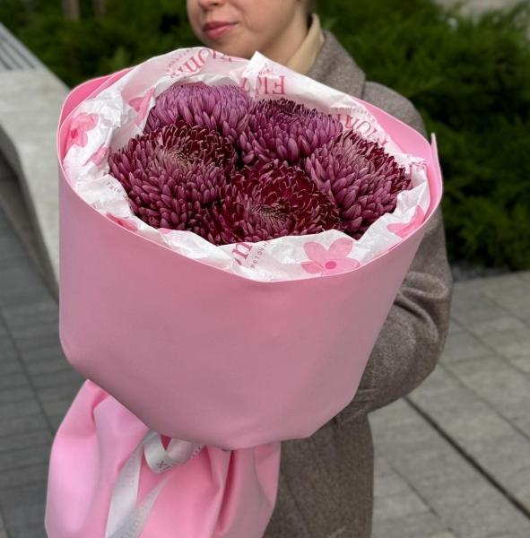 Хризантемы одноголовые 124 Хризантемы одноголовые 124