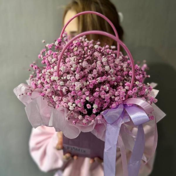 Фиолетовые гипсофилы (А)