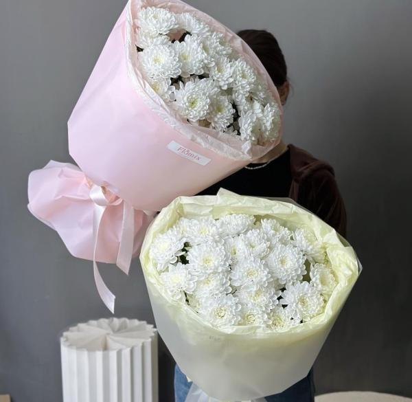 Хризантемы Алтай 087