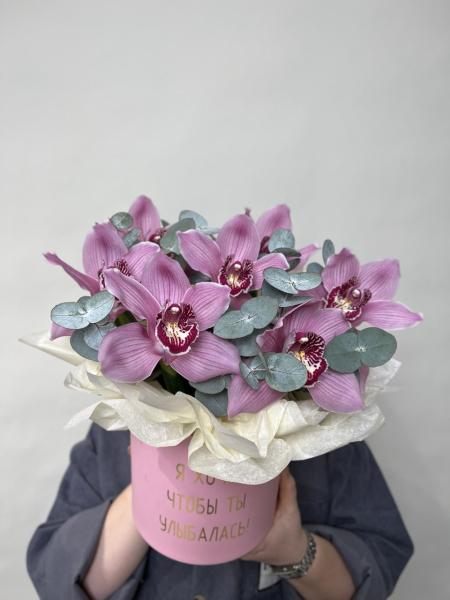 7 орхидей в шляпке