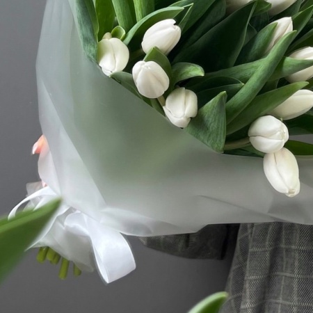 Моно 25 тюльпан 237