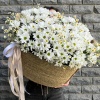 Большая корзинка с хризантемами 062