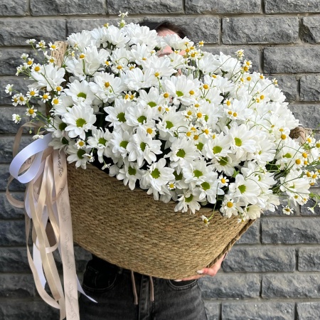 Большая корзинка с хризантемами 062