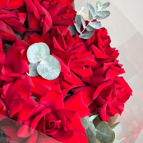 Красные кружевные розы с эвкалиптом