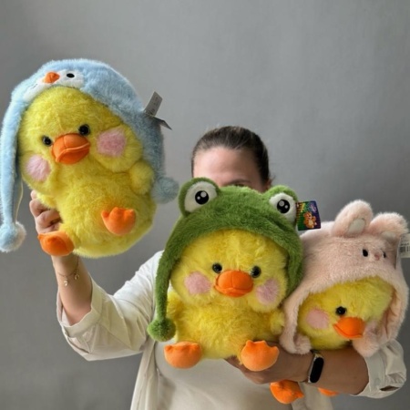 Утиная братва 