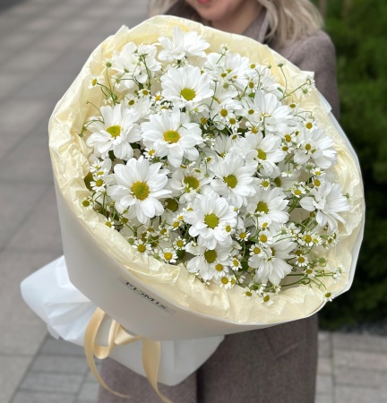 Микс ромашек 107