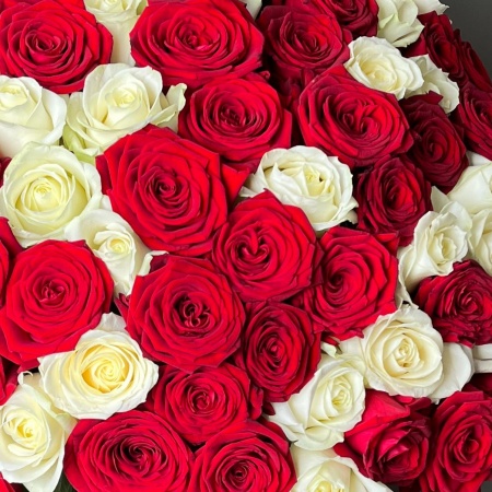 101 Роза Микс 164