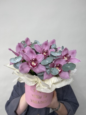 7 орхидей в шляпке