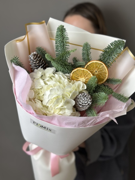 Зимняя гортензия 240