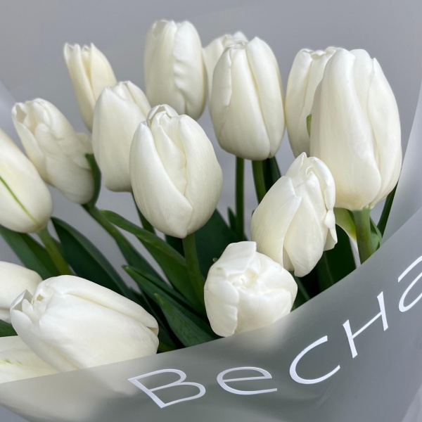 15 белых тюльпанов "Весна"