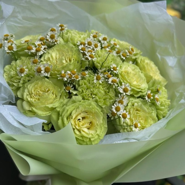 Лимонад и камилла