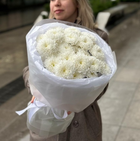 5 хризантем Алтай 087 5 хризантем Алтай 087