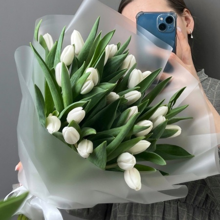 Моно 25 тюльпан 237