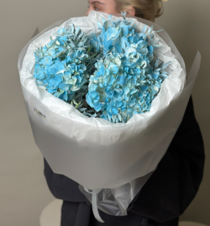 Небесная гортензия