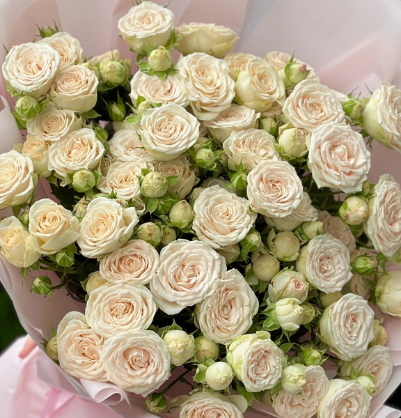 Нежные кустовые розы 11 шт 030