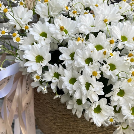 Большая корзинка с хризантемами 062