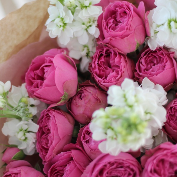 Дуо: кустовые розы с матиоллой