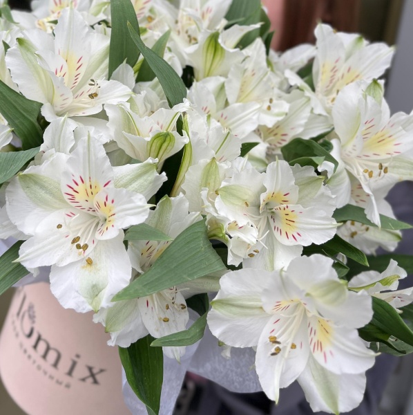 Шляная коробка мини с белыми альстромериями 143 (С)